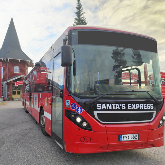 Santa's express one way ticket (adult)